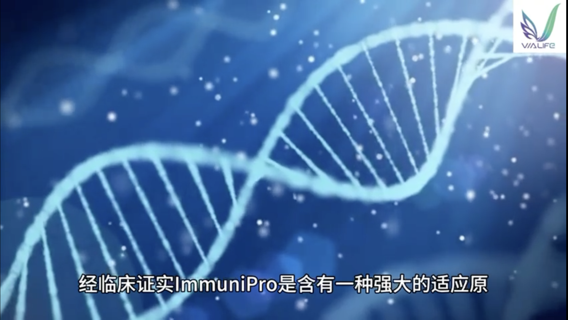 了解ImmuniPro